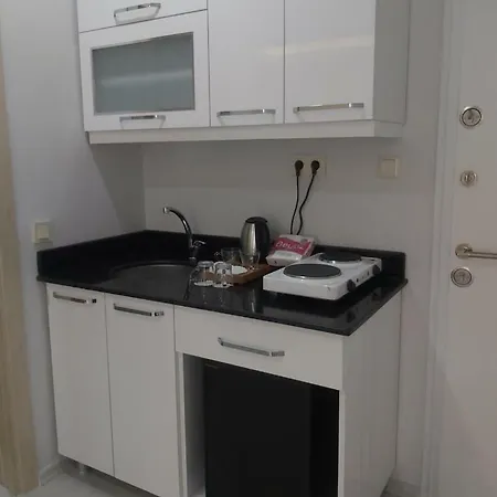 Hotel Shahane